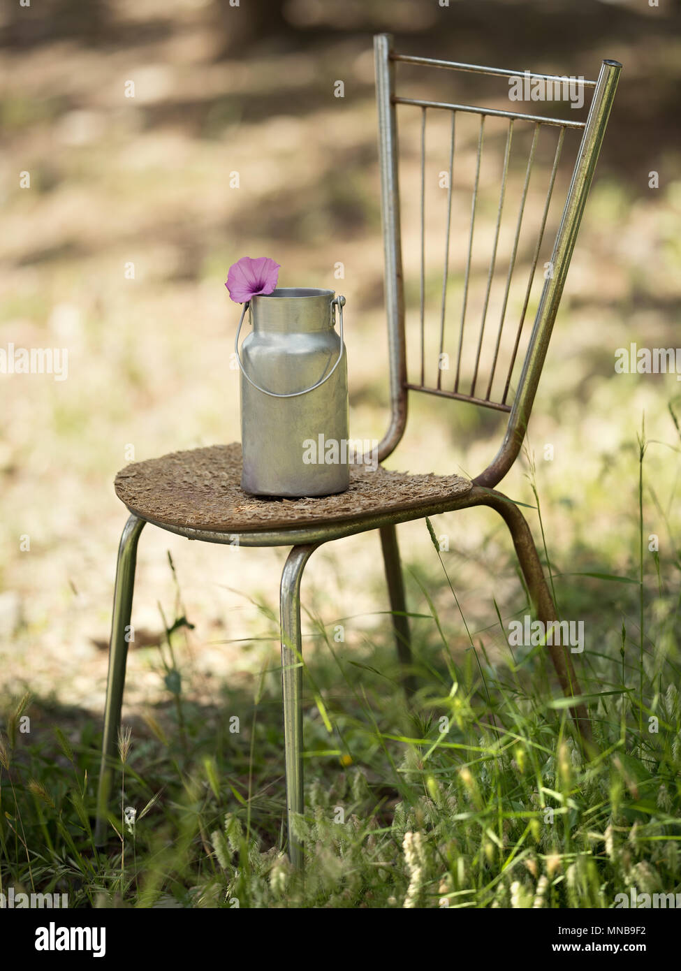 Retro little barrel for milk stands on a chair against a background of  nature Stock Photo - Alamy