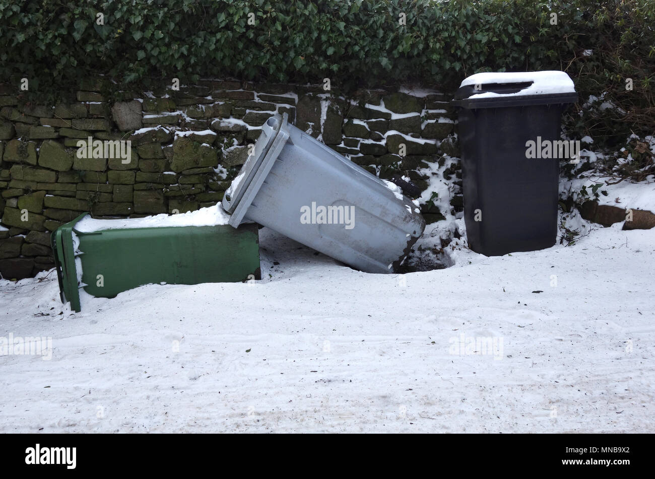 Wheelie bins garden hi-res stock photography and images - Alamy