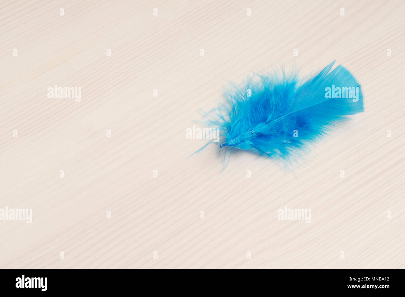 Blue feather on wooden background with copy space Stock Photo