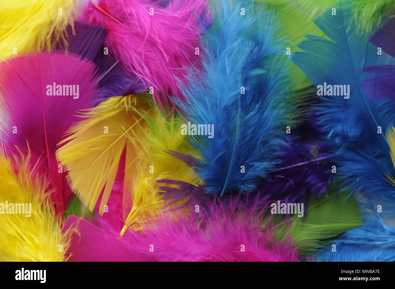 Colorful smooth and soft feathers background Stock Photo