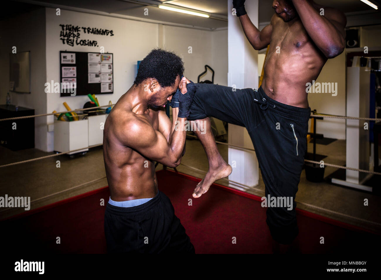 Agile muscles hi-res stock photography and images - Alamy