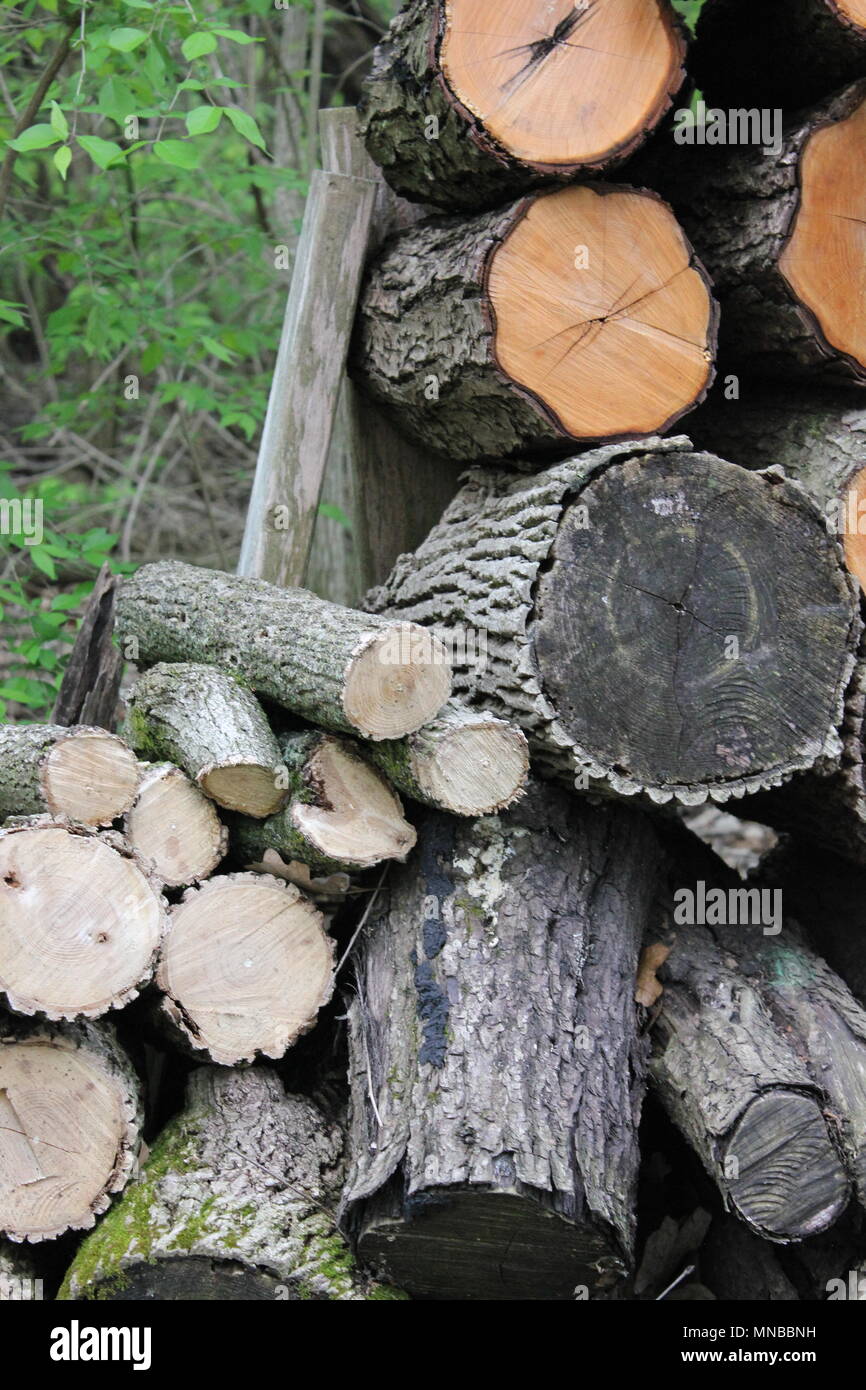 Interesting outdoor pile of firewood with lots that have varying degrees of dryness. Stock Photo