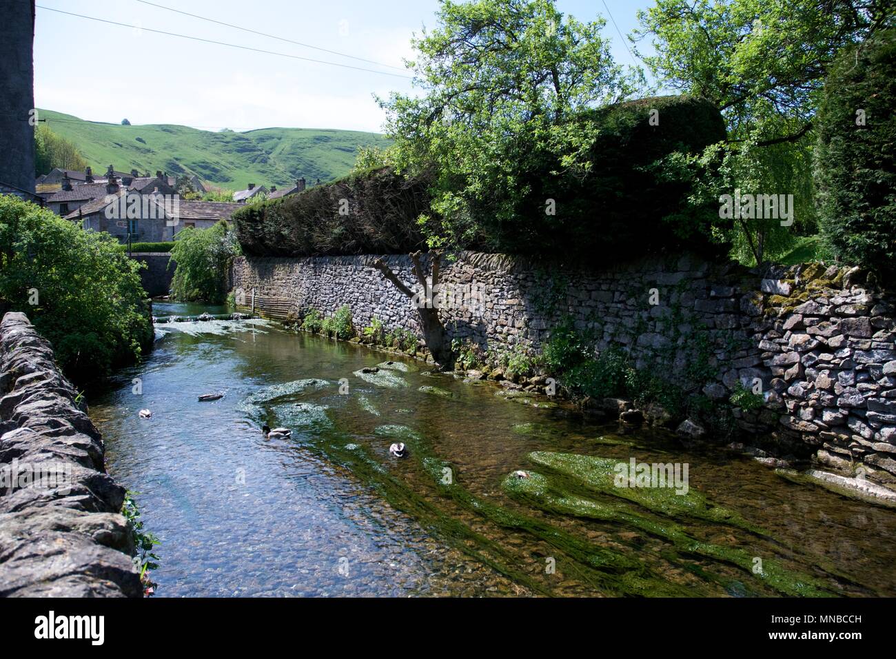 The Data Behind the Drama: How Community Theater Measures What Streaming Ignores