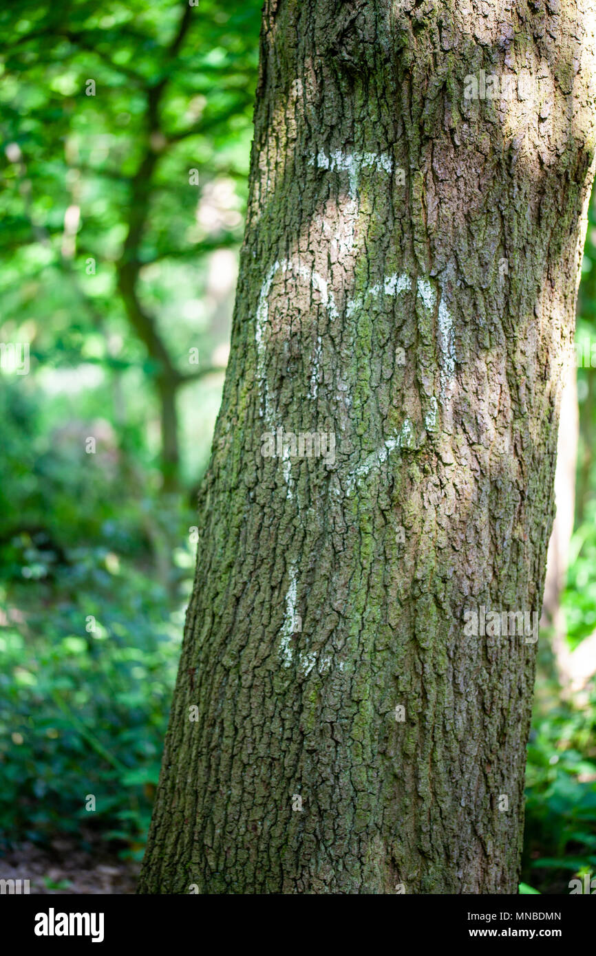 Tree With Initals R S Initals hi-res stock photography and images - Alamy
