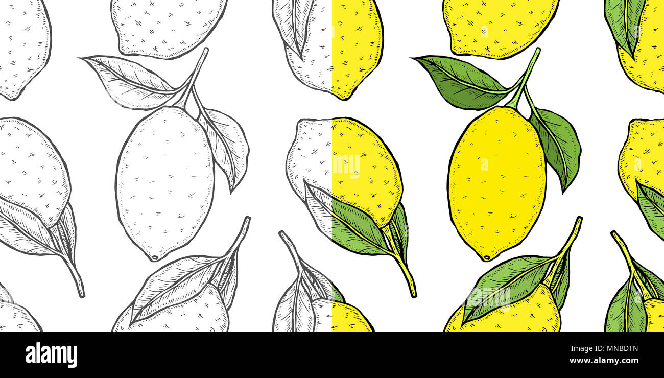Monochrom Seamless pattern background Lemon hand drawn sketch. Sketch ...