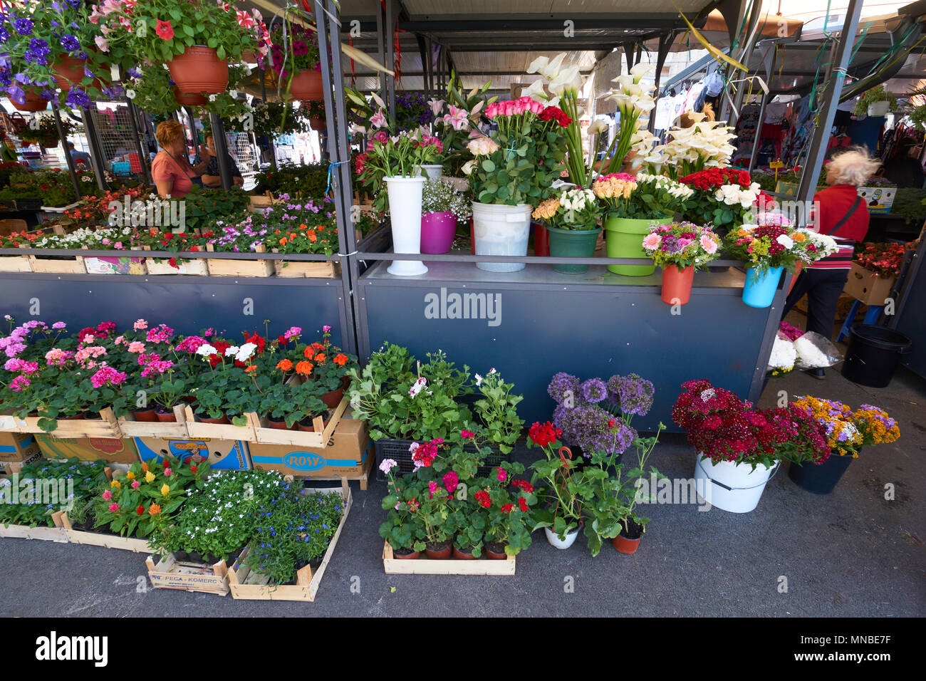 Belgrade, Serbia May 02, 2018 Open air retail market. Fresh cut