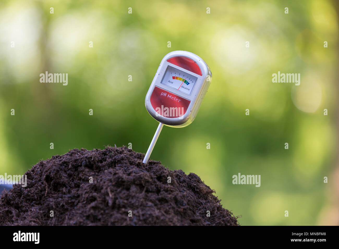 Testing soil using a pH tester to check the acidity of garden compost. Stock Photo