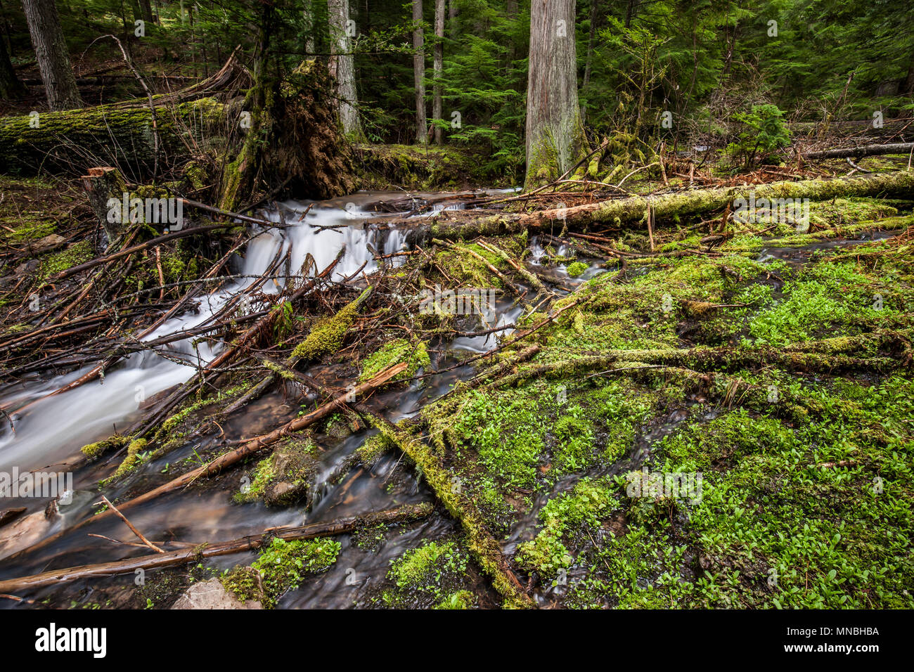 Hayden lake idaho hires stock photography and images Alamy