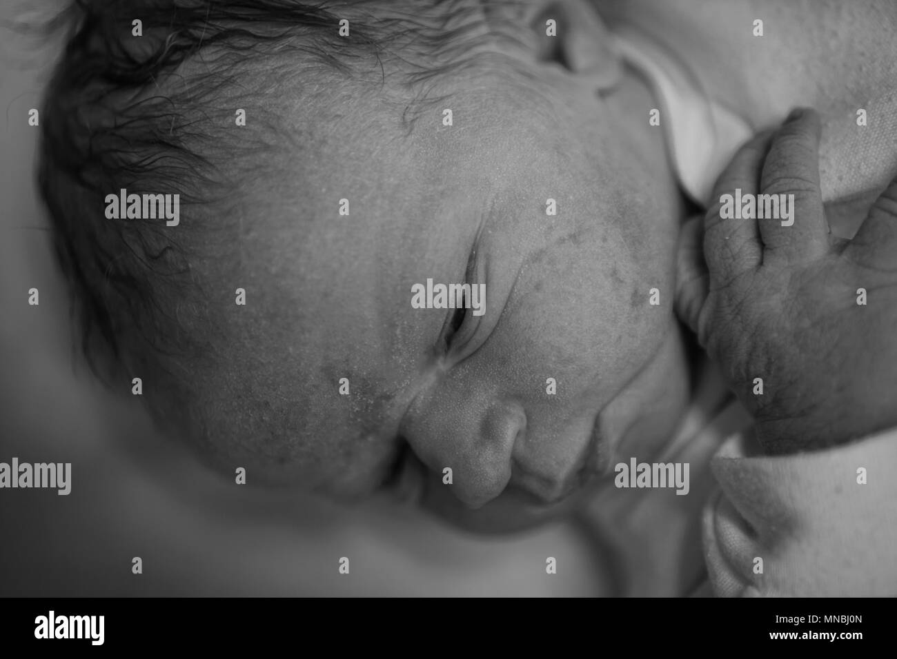 Newborn baby, two hours after birth Stock Photo