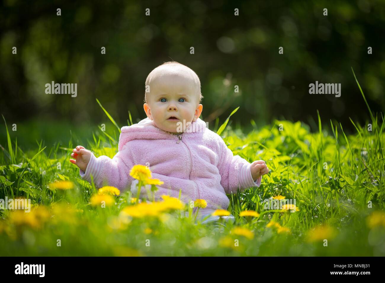 beautiful-small-baby-girl-sitting-on-dandelions-meadow-at-spring