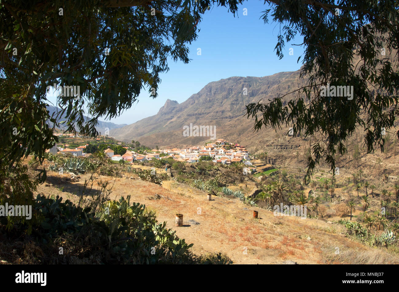 The town of Fataga with bare mountains and flora in the valley on Tenerife, the Canary Islands in Spain Stock Photo