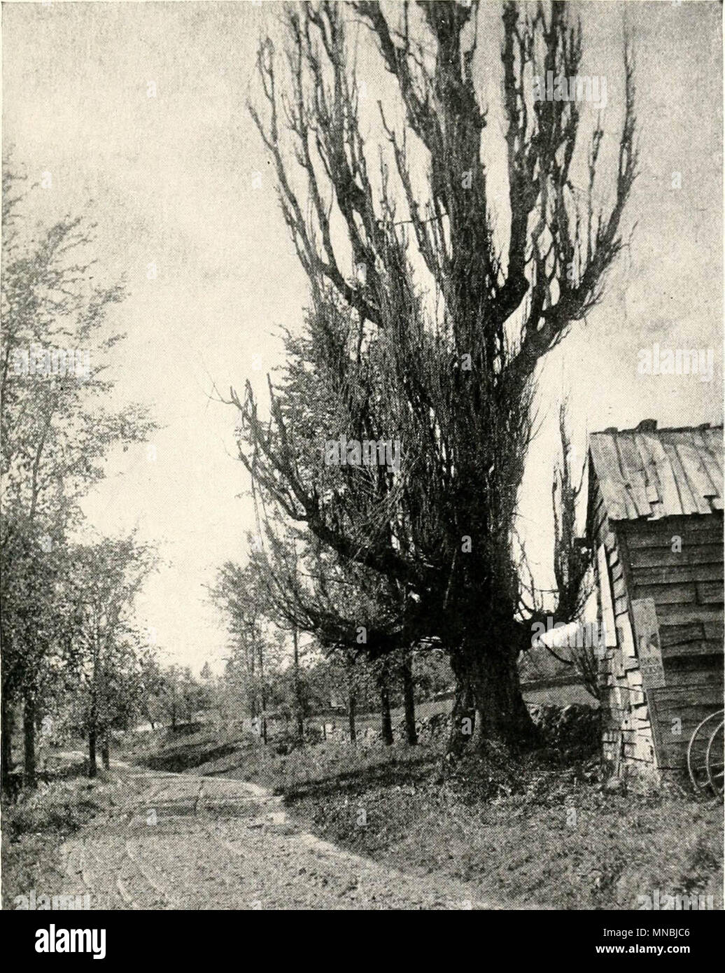 Mohawk valley hires stock photography and images Alamy