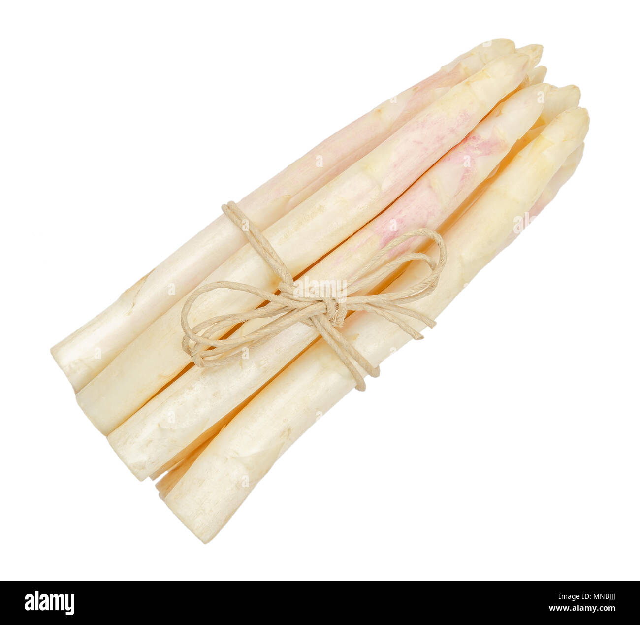 White asparagus shoots bundle, also sparrow grass. Blanched cultivated Asparagus officinalis. Spring vegetable with thick stems and closed buds. Stock Photo