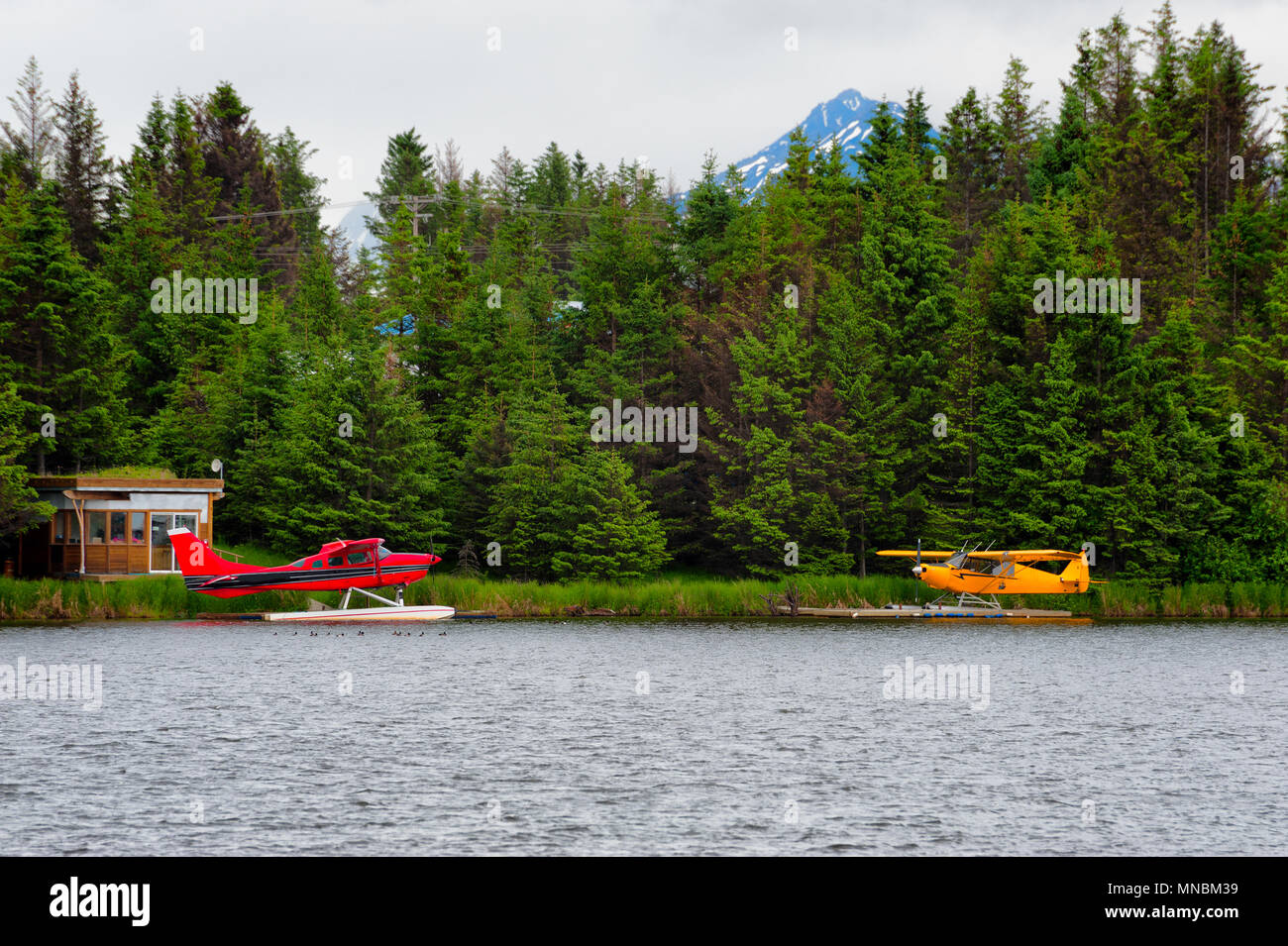 Float Planes sit tied to docks on Beluga Lake in Homer, Alaska Stock Photo