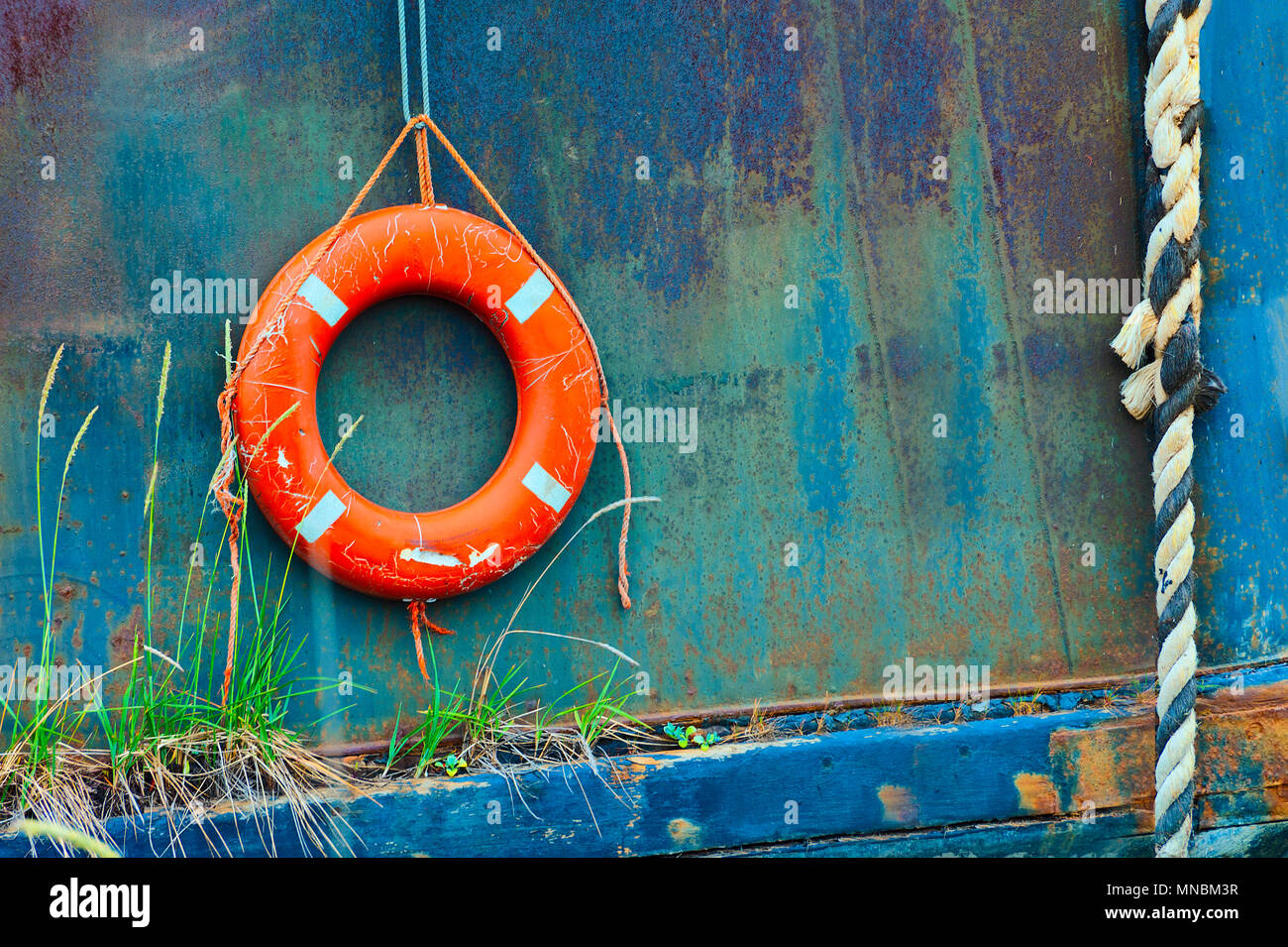 Close up of life perserver rings hanging off an old boat in a field of