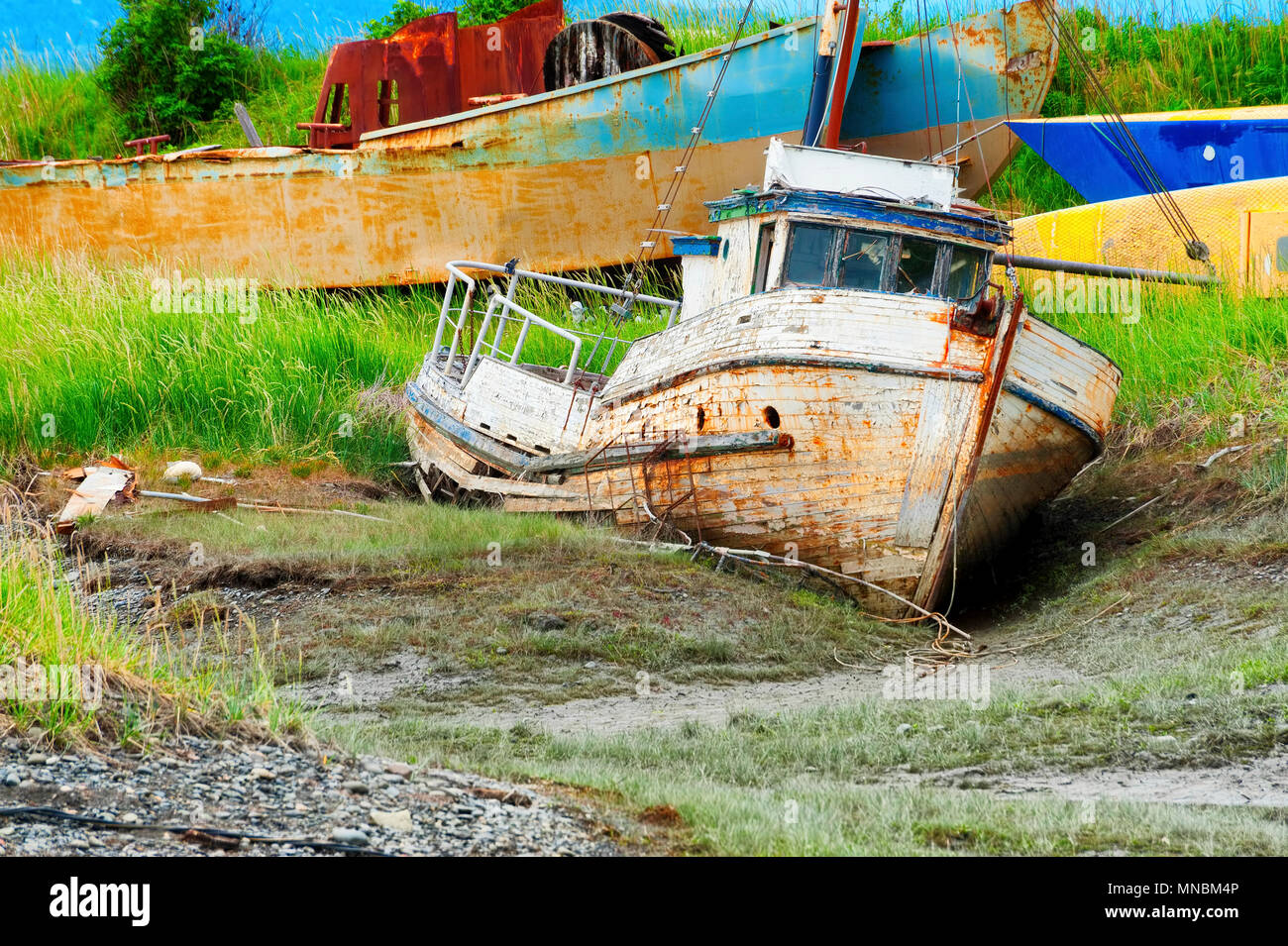 An old abandoned rotting boat sits in a muddy field that appear to be a graveyard for old boats.  Seen from the walking path along Kachemak Bay . Stock Photo