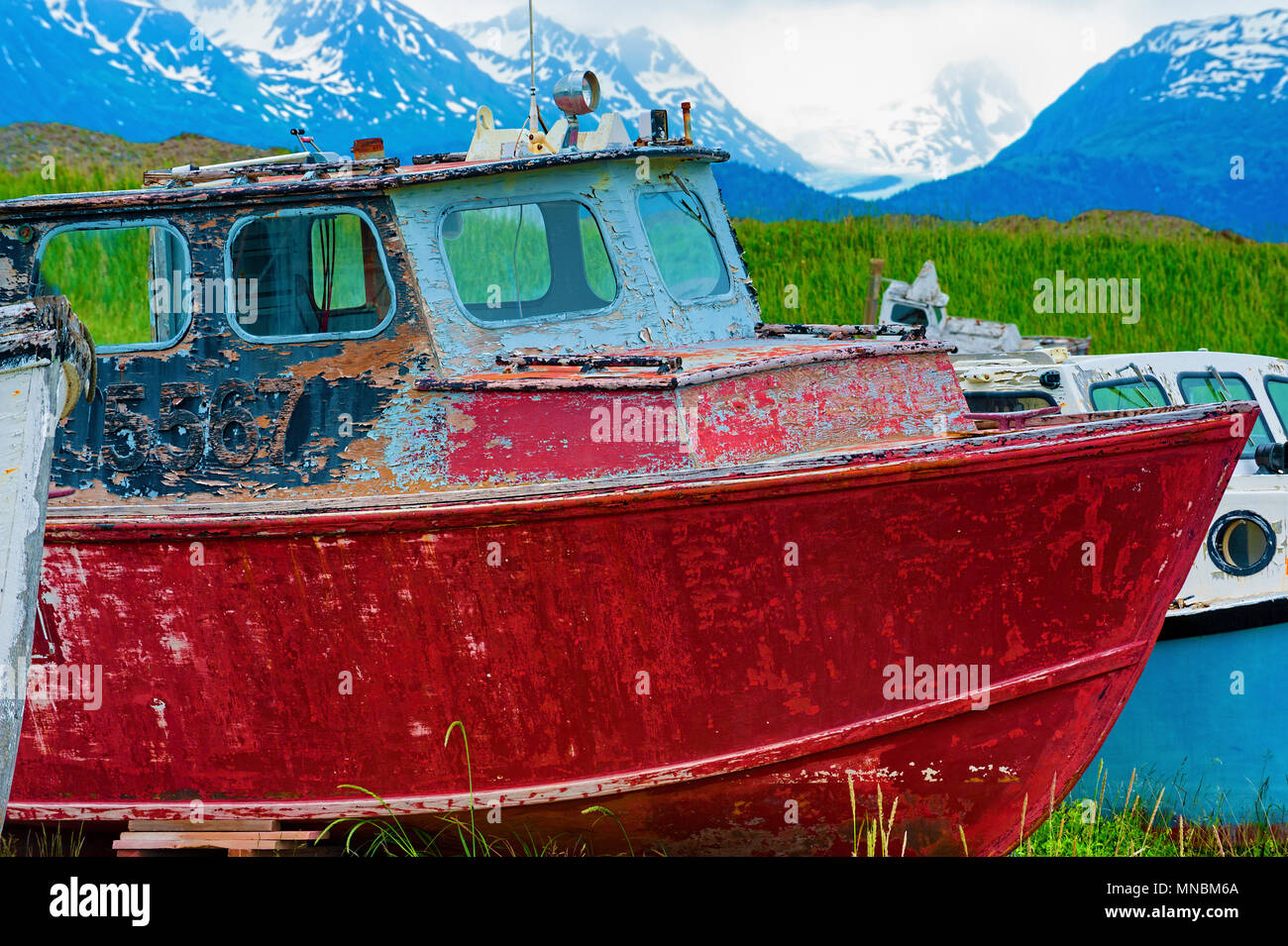 Decaying abandoned boats in a grassy field seen from walking path along the shores of Kachemak Bay in Homer Alaska. Stock Photo