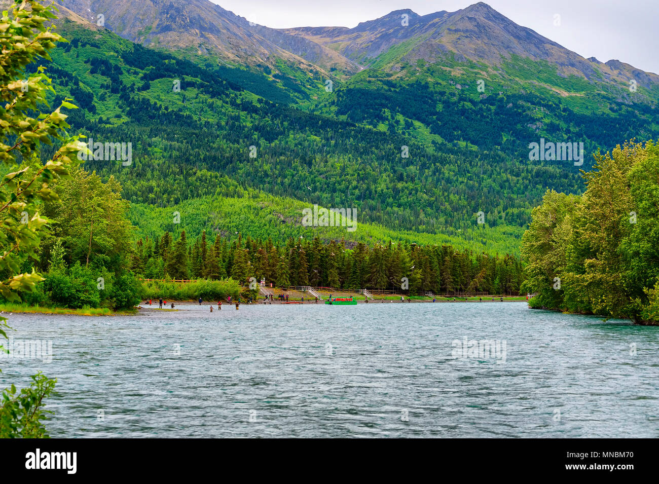 Kenai river alaska hires stock photography and images Alamy