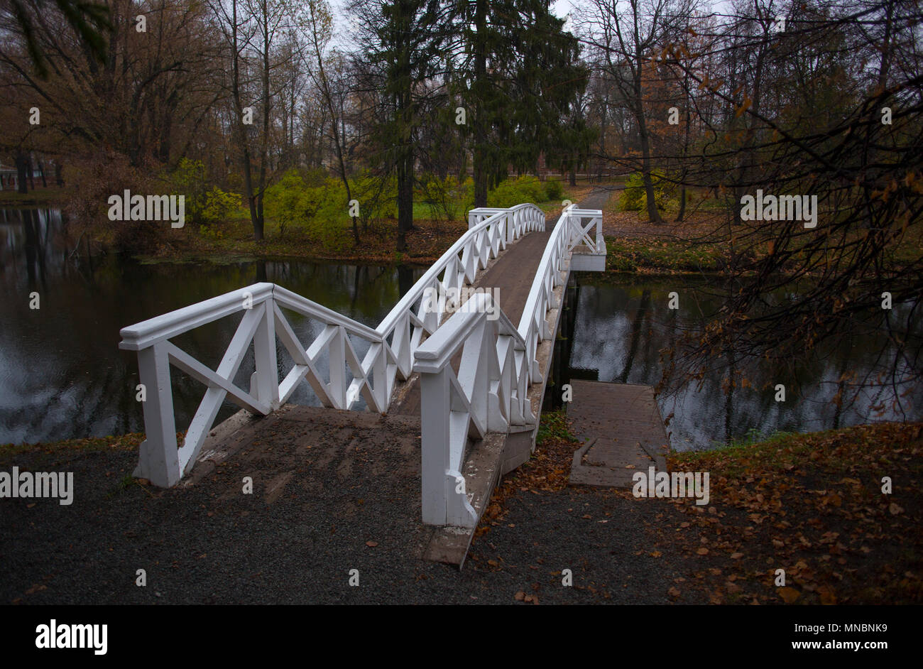 Footbridge across the upper pond in Boldino Stock Photo