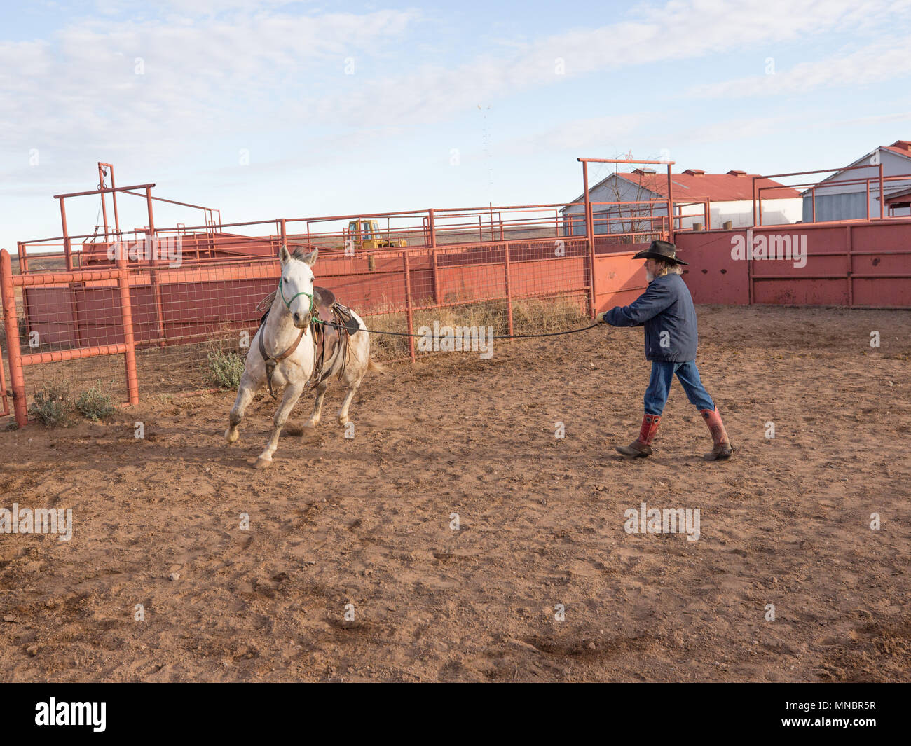 Ranch hand working hires stock photography and images Alamy