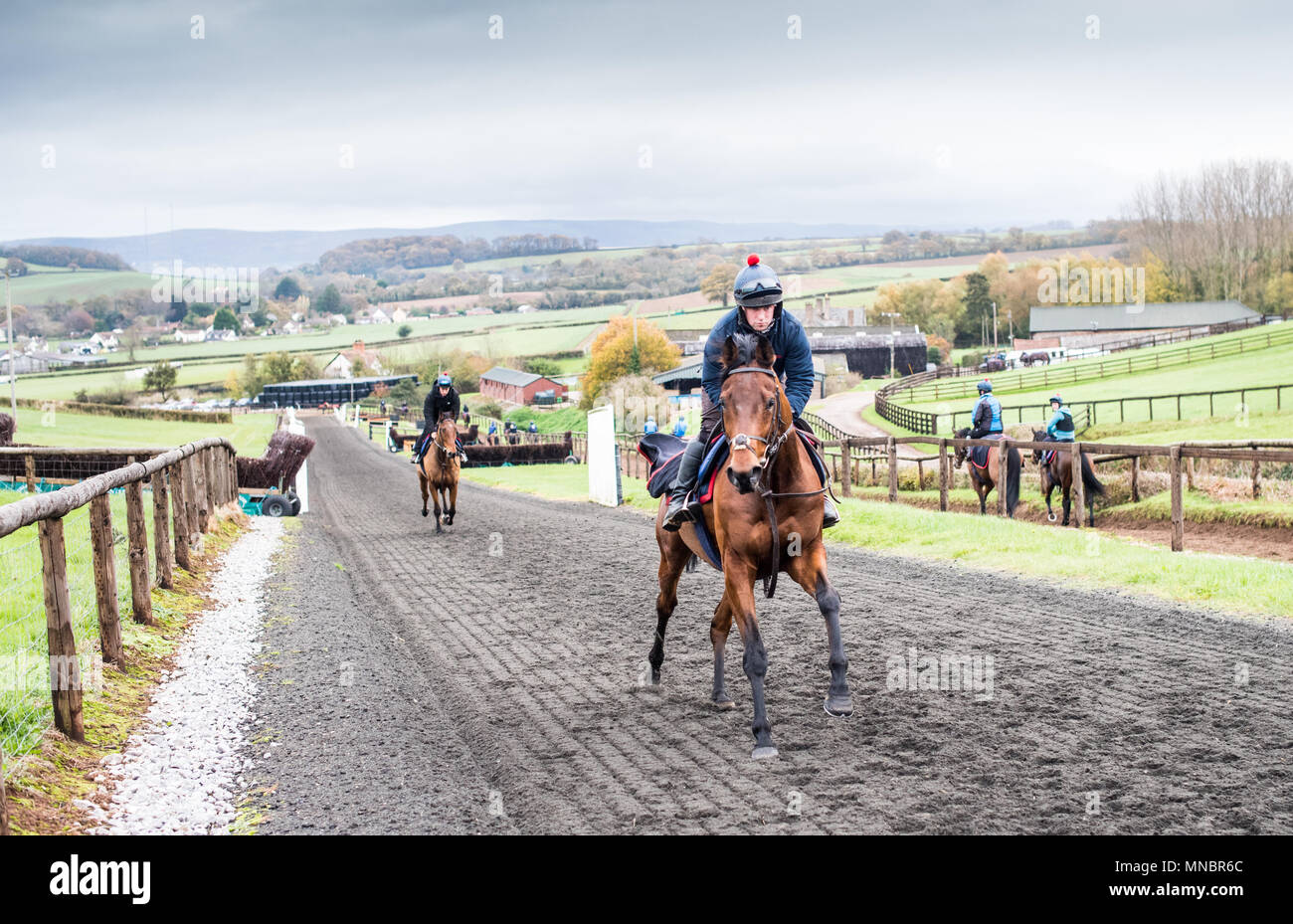 Philip hobbs racing stables hi-res stock photography and images - Alamy