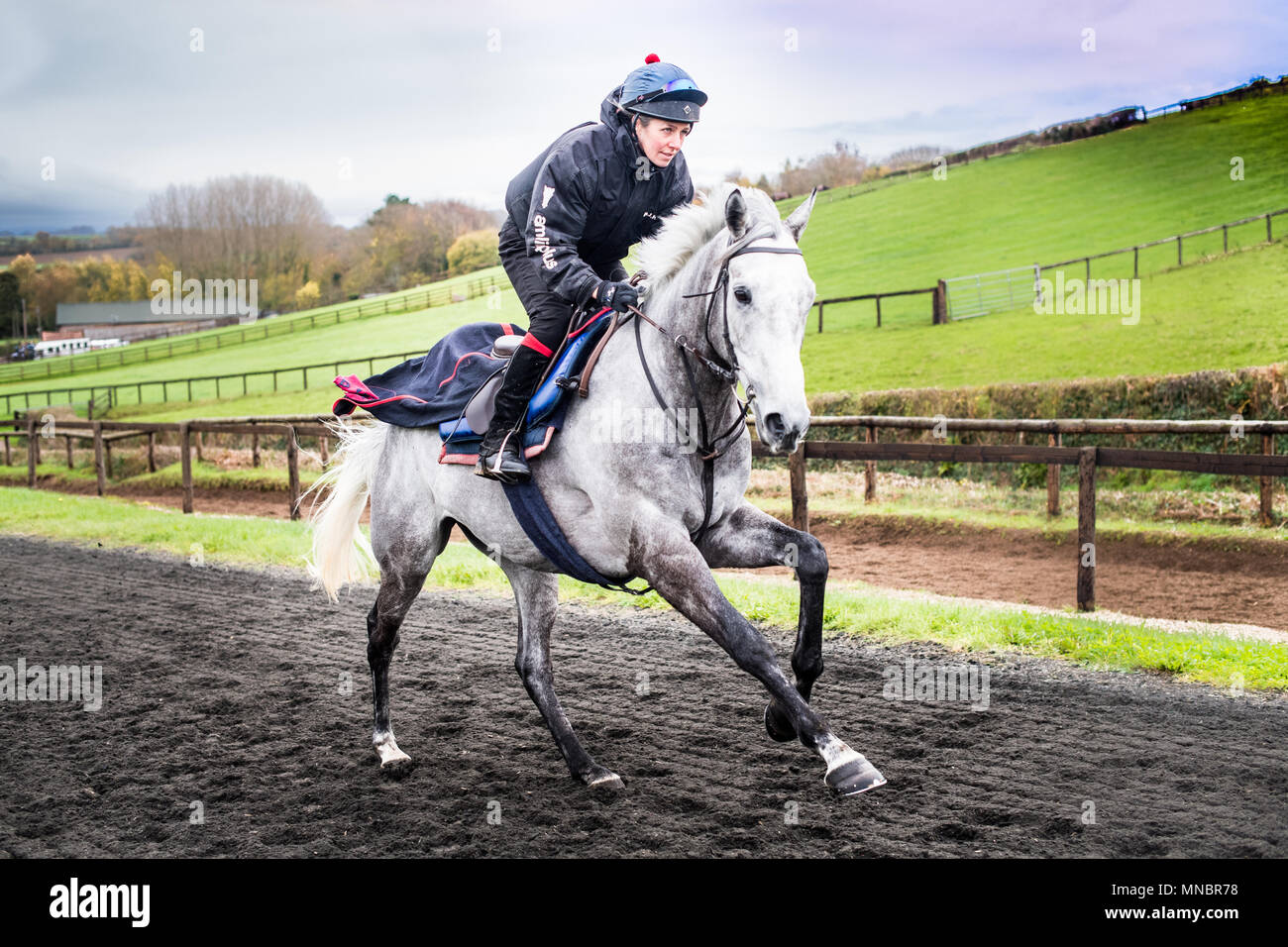 Philip hobbs racing stables hi-res stock photography and images - Alamy