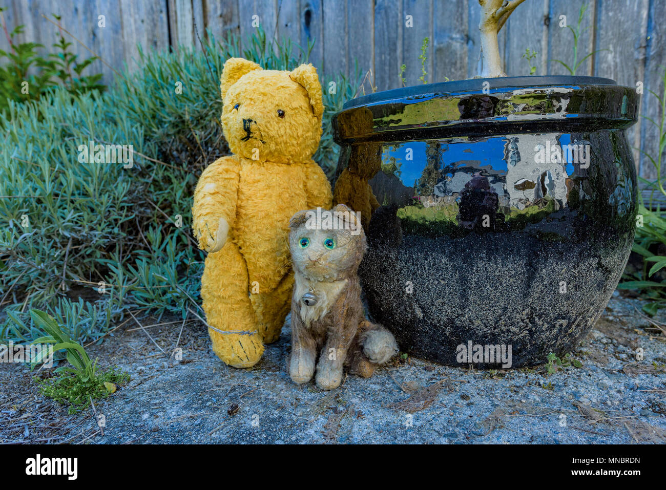 Vintage Teddy bear Stock Photo - Alamy