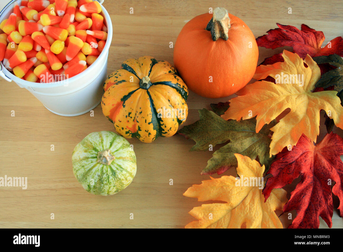 Colorful fall leaves pumpkin and white bucket of candy corn. Stock Photo