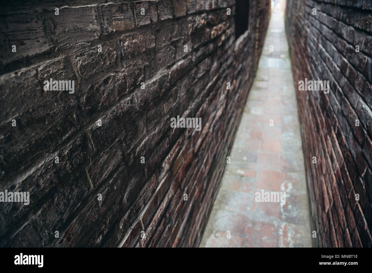Molu hi-res stock photography and images - Alamy Molu hi-res stock photography and images - Alamy