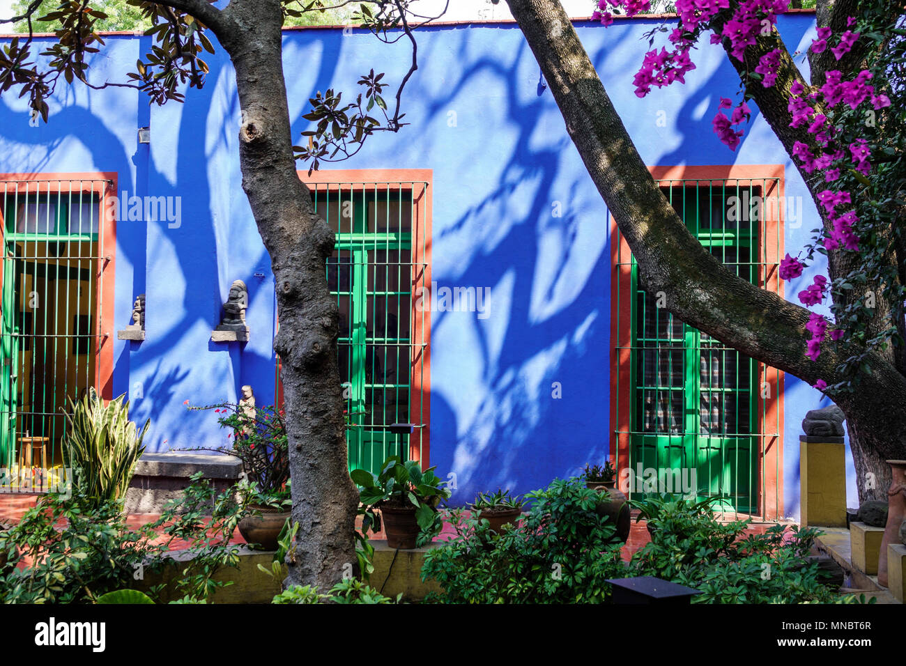 Mexico City,Mexican,Hispanic,Coyoacan,Del Carmen,Frida Kahlo Museum Museo Frida Kahlo,Blue House,central courtyard,garden,tree shadow MX180308021 Stock Photo