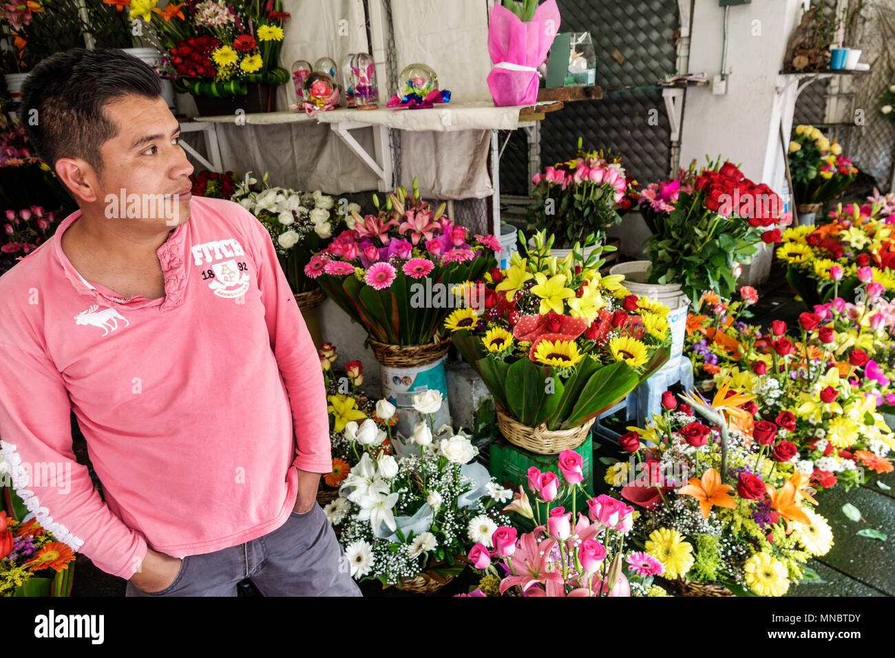 Mexico City,Hispanic,Mexican,Alvaro Obregon San Angel,flower market