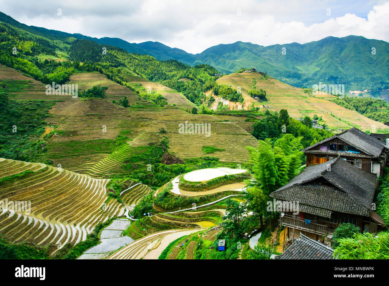 Asian rice terrace landscape in China on a cloudy day Stock Photo