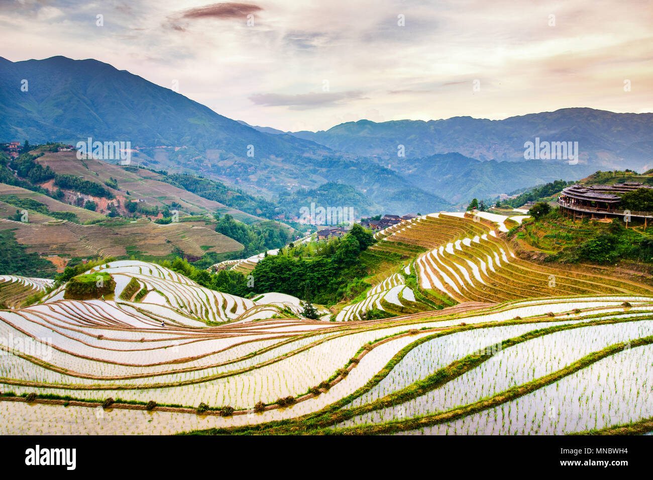 Asian rice terrace scenery at sunset in south of China Stock Photo
