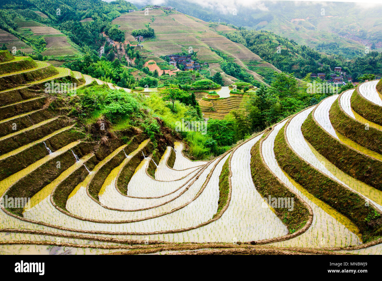 Stunnig scenery of Chinese rice terrace near Guilin in Guangxi province Stock Photo