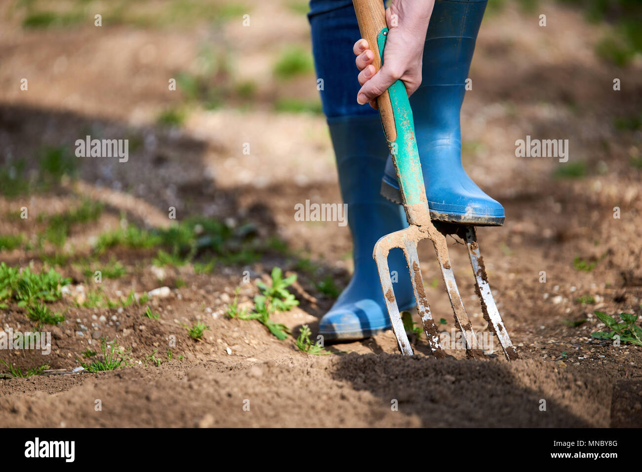 Spading fork 2024 used for
