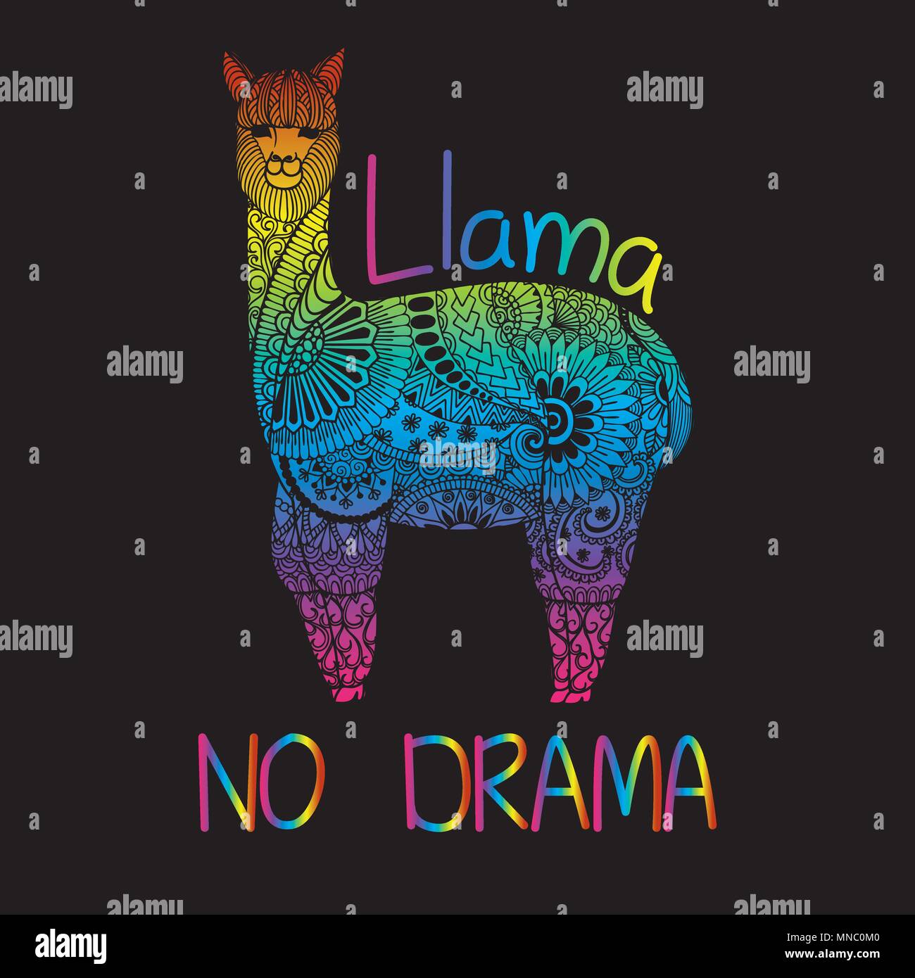 Hand drawn rainbow color typography slogan ’Llama no drama’ under cute doodle llama or alpaca,vector illustration for t shirt printing and embroidery, Stock Vector