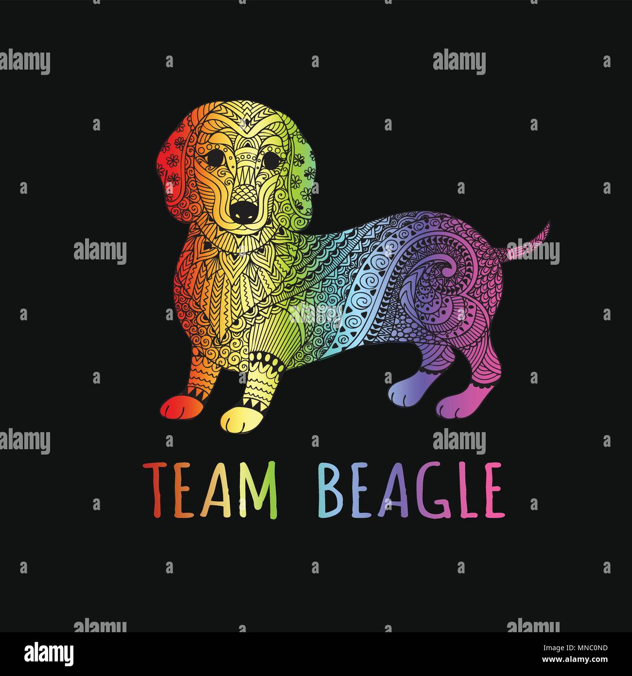 Hand drawn rainbow color typography slogan ’TEAM BEAGLE’ under cute zendoodle Beagle puppy,vector illustration for t shirt printing and embroidery, Gr Stock Vector