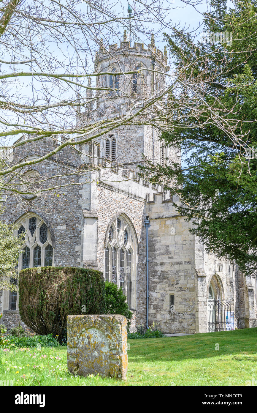 The octagonal (lantern) tower and weather vane at the medieval church of St Andrew in the village of Colyton, Devon, England. Stock Photo