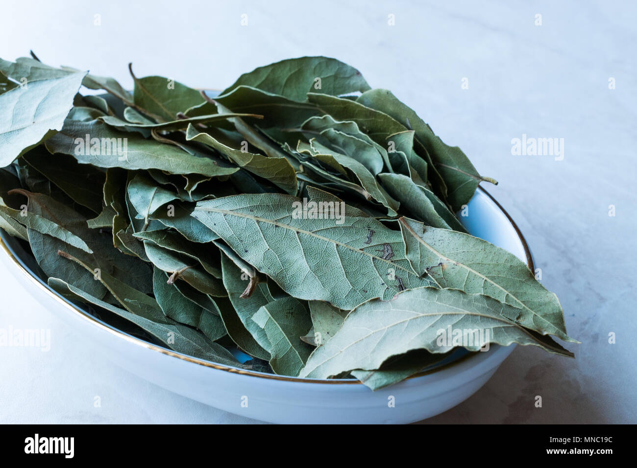 Daphne Leaves from Laurel Tree. Organic Product. Stock Photo