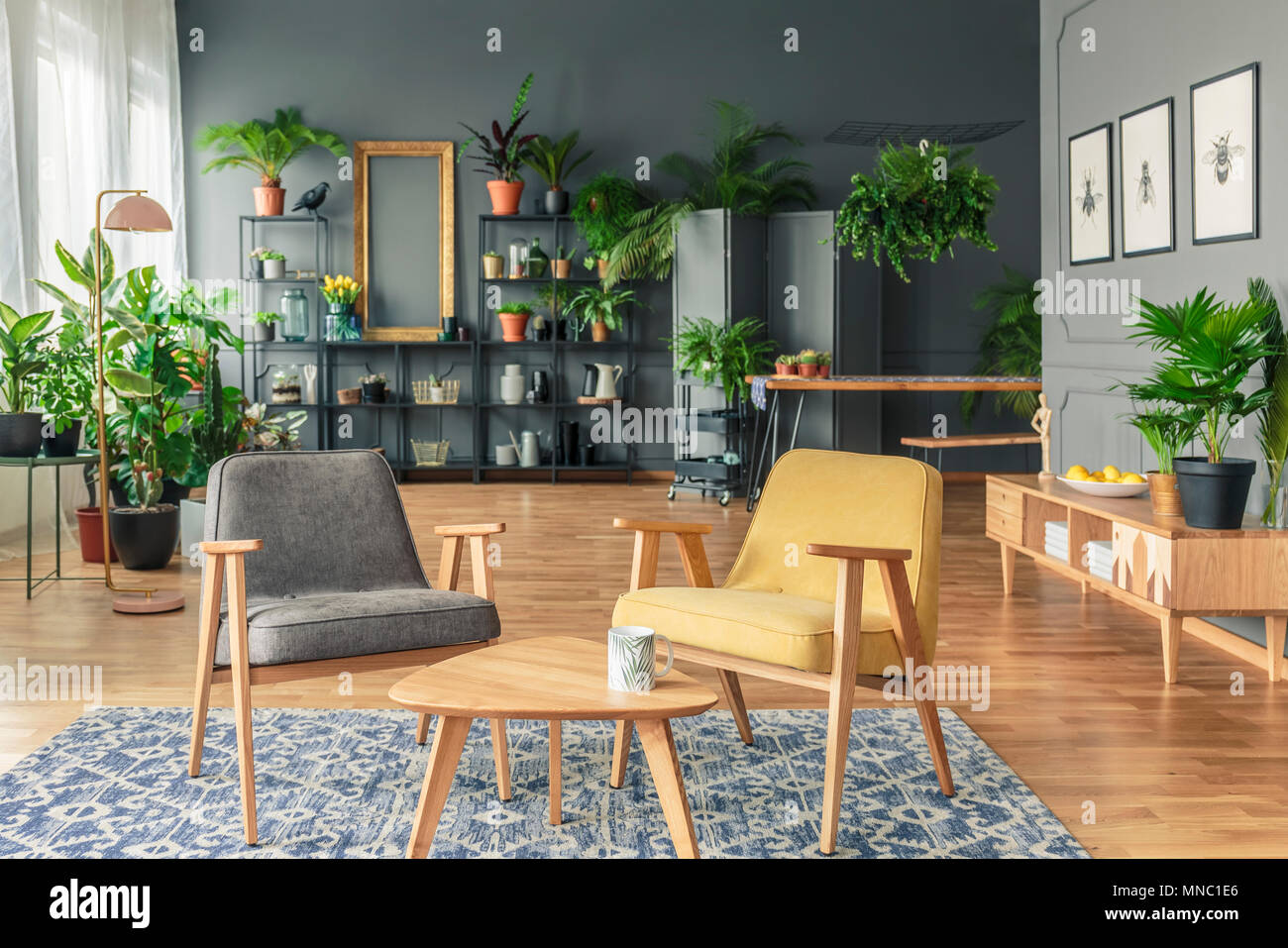 Two chairs next to a table on a patterned rug in botanic room interior with plants on the black