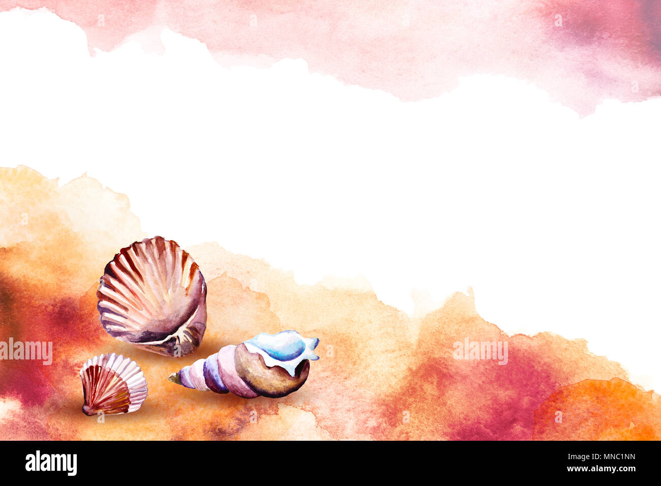 Watercolor illustration of a sea shells on a beach Stock Photo - Alamy