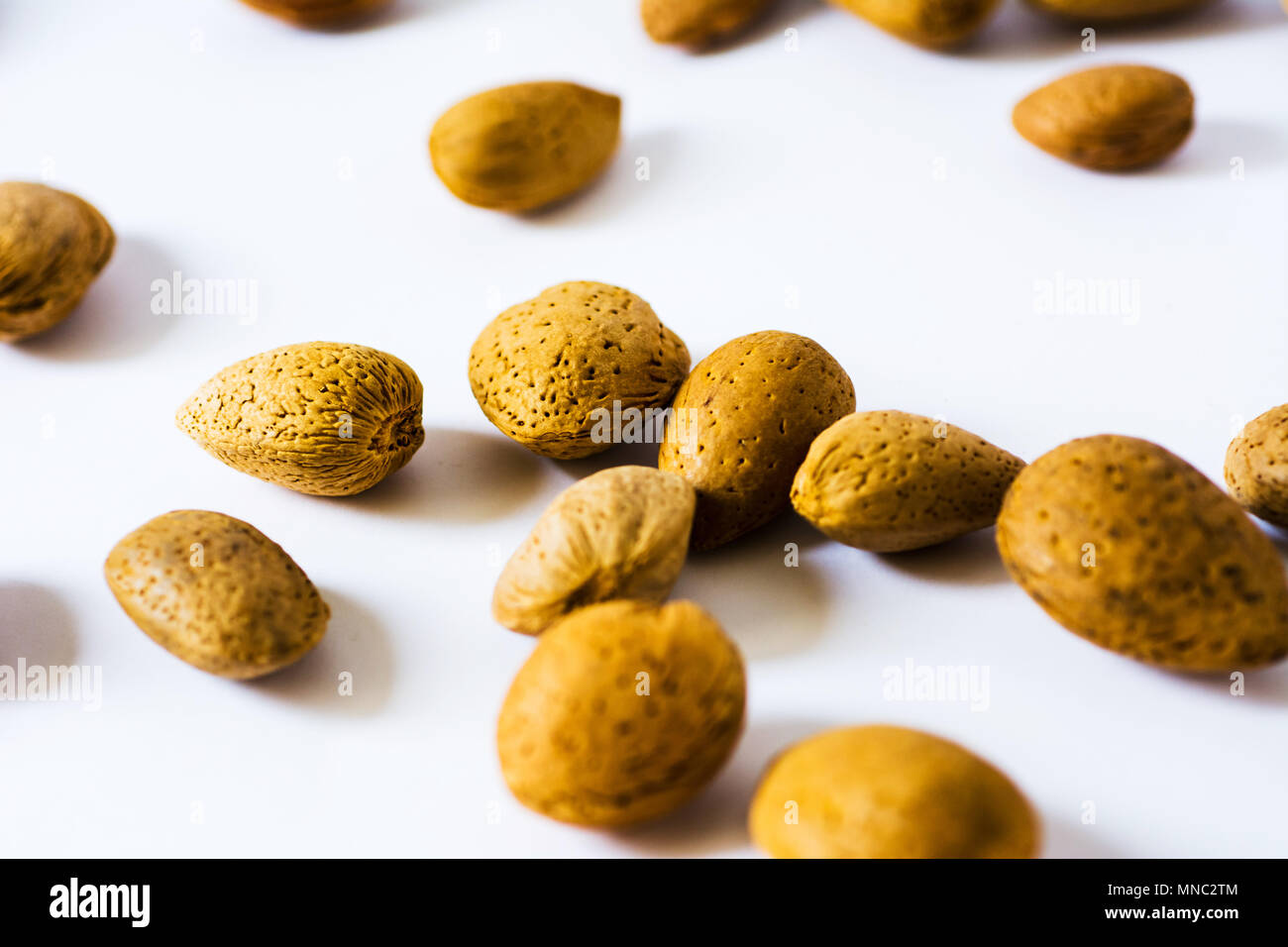 Fresh almonds in shell close up shot Stock Photo