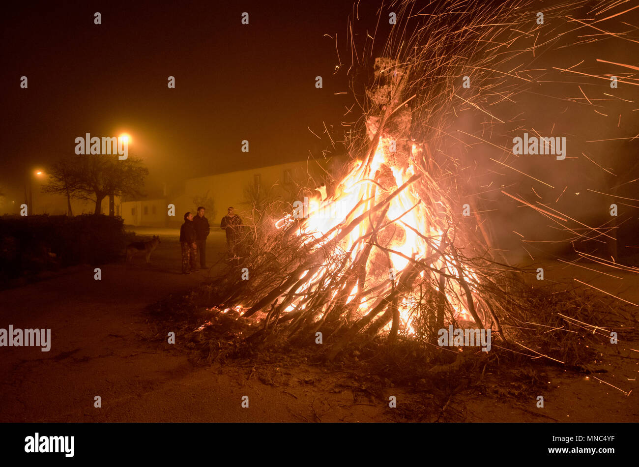 Bonfire to celebrate the Winter Solstice Festivities. Constantim, Tras-os-Montes. Portugal Stock Photo