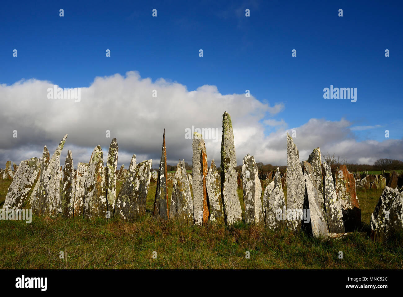 Dry stone walls made of schist at Alcanices. Zamora, Spain Stock Photo