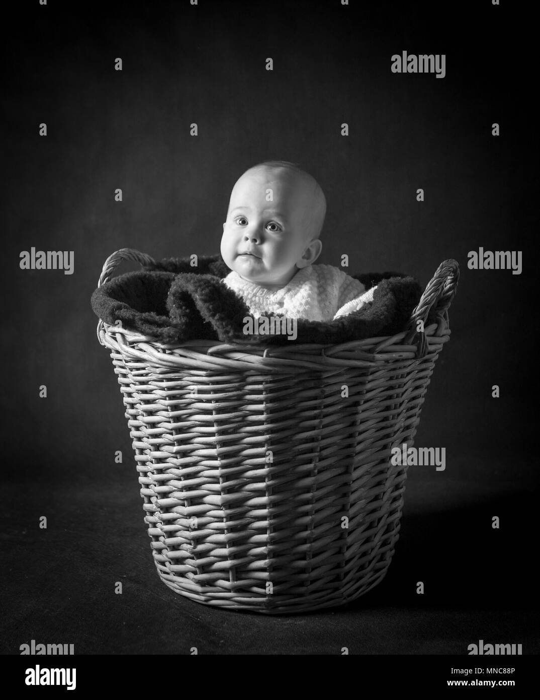 Beautiful baby girl in big basket portrait. Studio shot of 6 month old baby  Stock Photo - Alamy