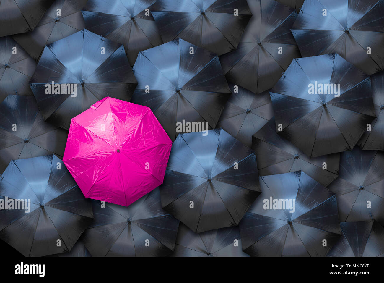 A pink umbrella stands out against a crowd of black ones. Female empowerment concept. Stock Photo