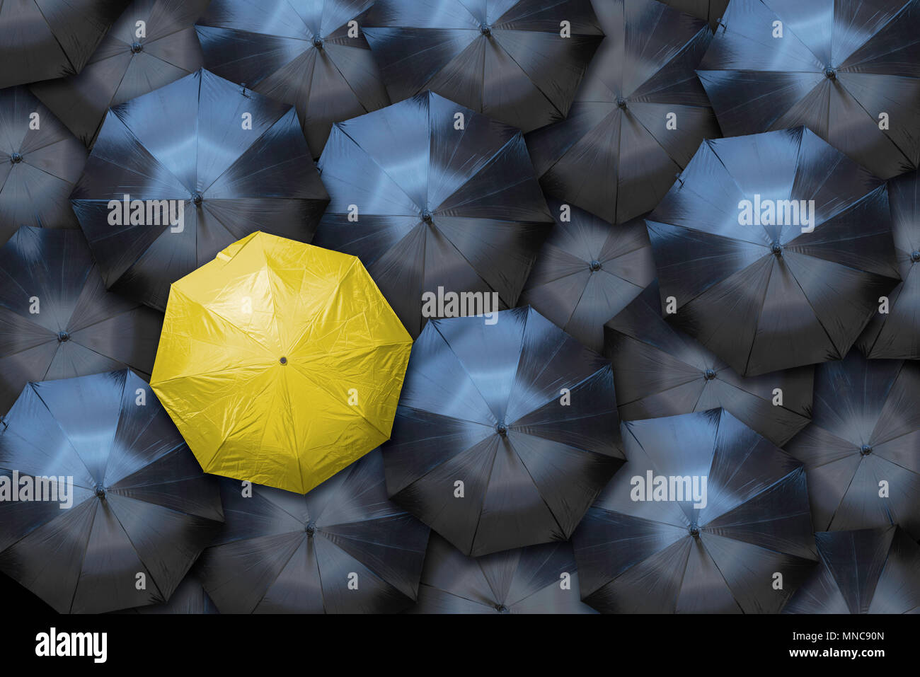 A yellow umbrella stands out against a crowd of black ones. Individuality and leadership concept. Stock Photo