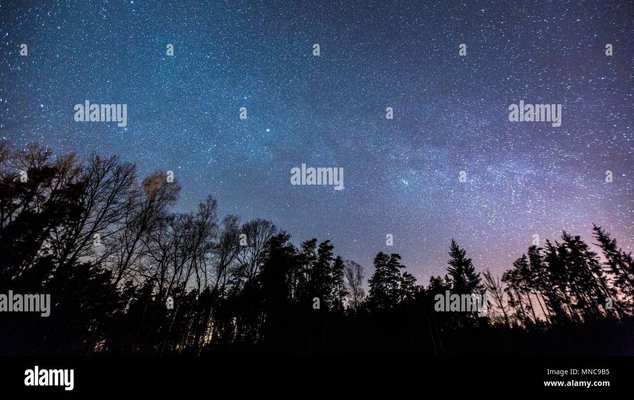 Night starry sky with milky way over forest in springtime Stock Photo ...