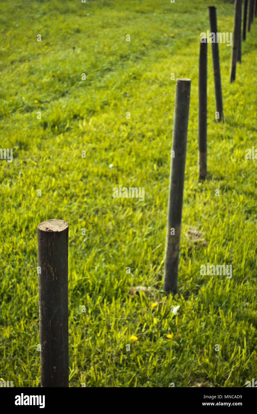 line of stakes to delimit land Stock Photo Alamy