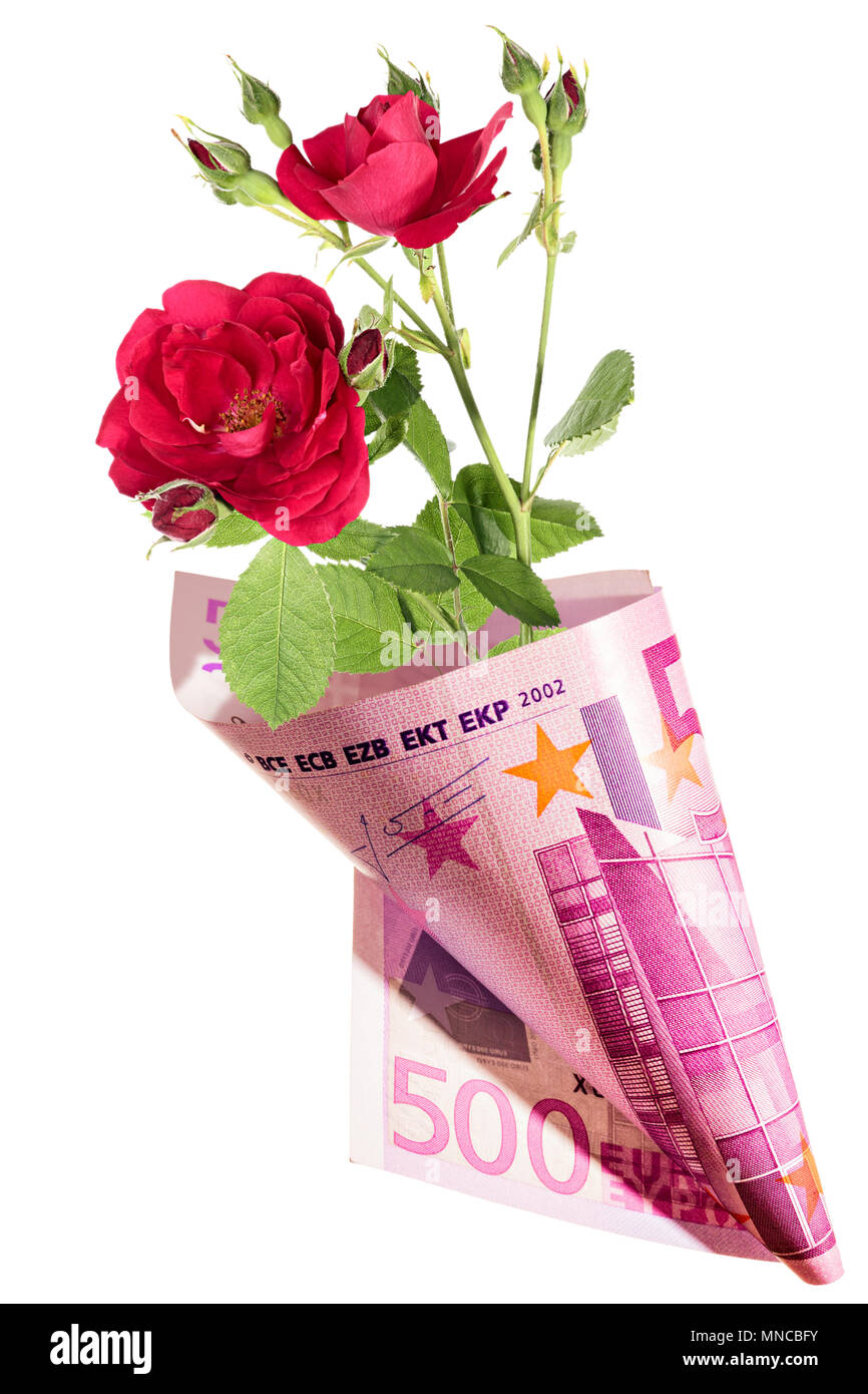 Funny gift, bouquet of red rose flowers wrapped in five hundred euros.  Isolation on white Stock Photo - Alamy